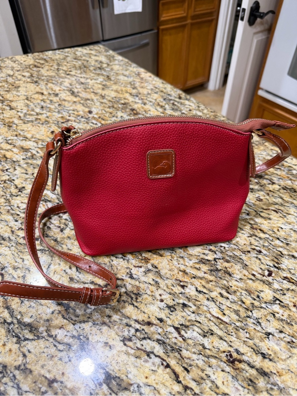 DB inspired Red Pebbled Crossbody with Brown Trim - Classic Women's Shoulder Bag
